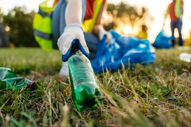 Best Yard Waste Removal  in Pardeeville, WI